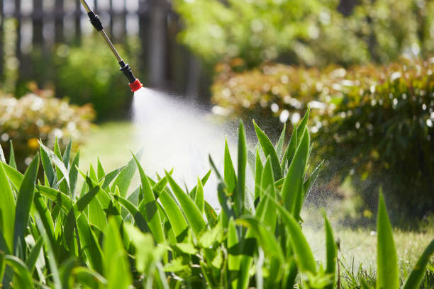 24/7 Emergency Rodent Control experts in Punxsutawney, PA