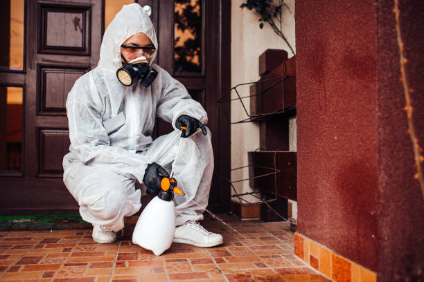 Reliable Rodent Control contractor in Punxsutawney, PA by Nex Pest Control