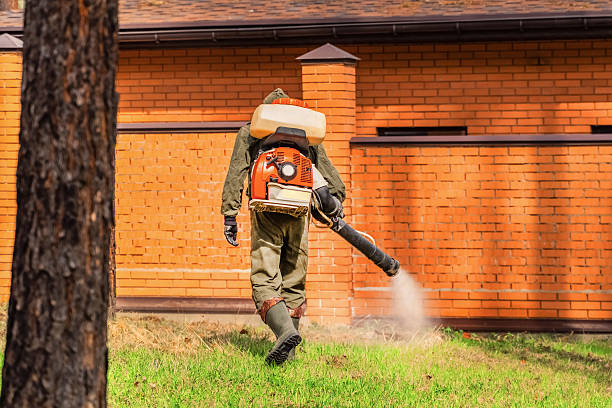 Trusted Cockroach Control service in Punxsutawney, PA - Nex Pest Control
